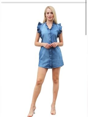 STARK X Ruffle Sleeve Denim Mini Dress